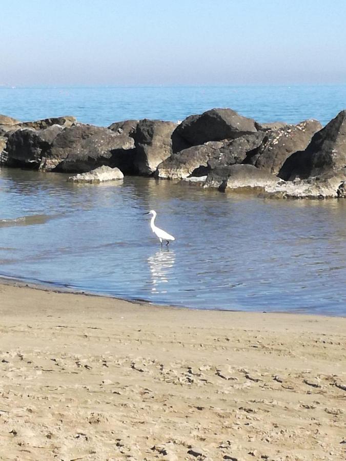 A Casa Minerva Apartman Rimini Kültér fotó